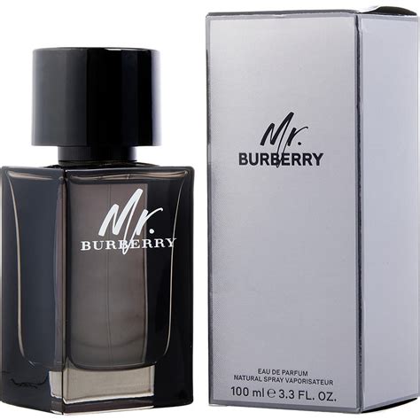 mr burberry parfum review